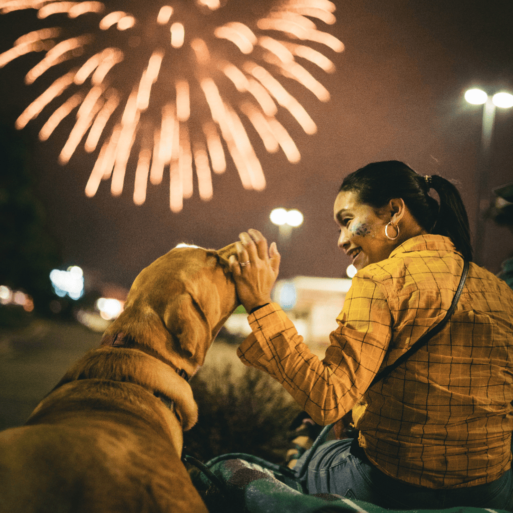 Keep Your Dog Calm During Fireworks and Thunderstorms - Migrou