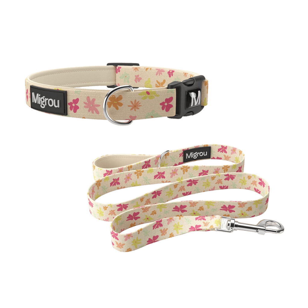 Duo Leash & Collar Max Comfort - Migrou