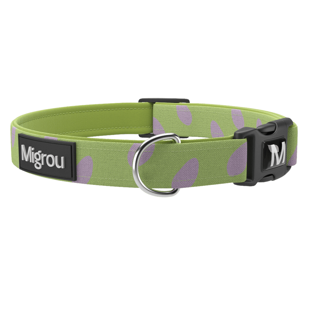 Dinosaur Eggs Duo Max Comfort Leash & Collar - Migrou