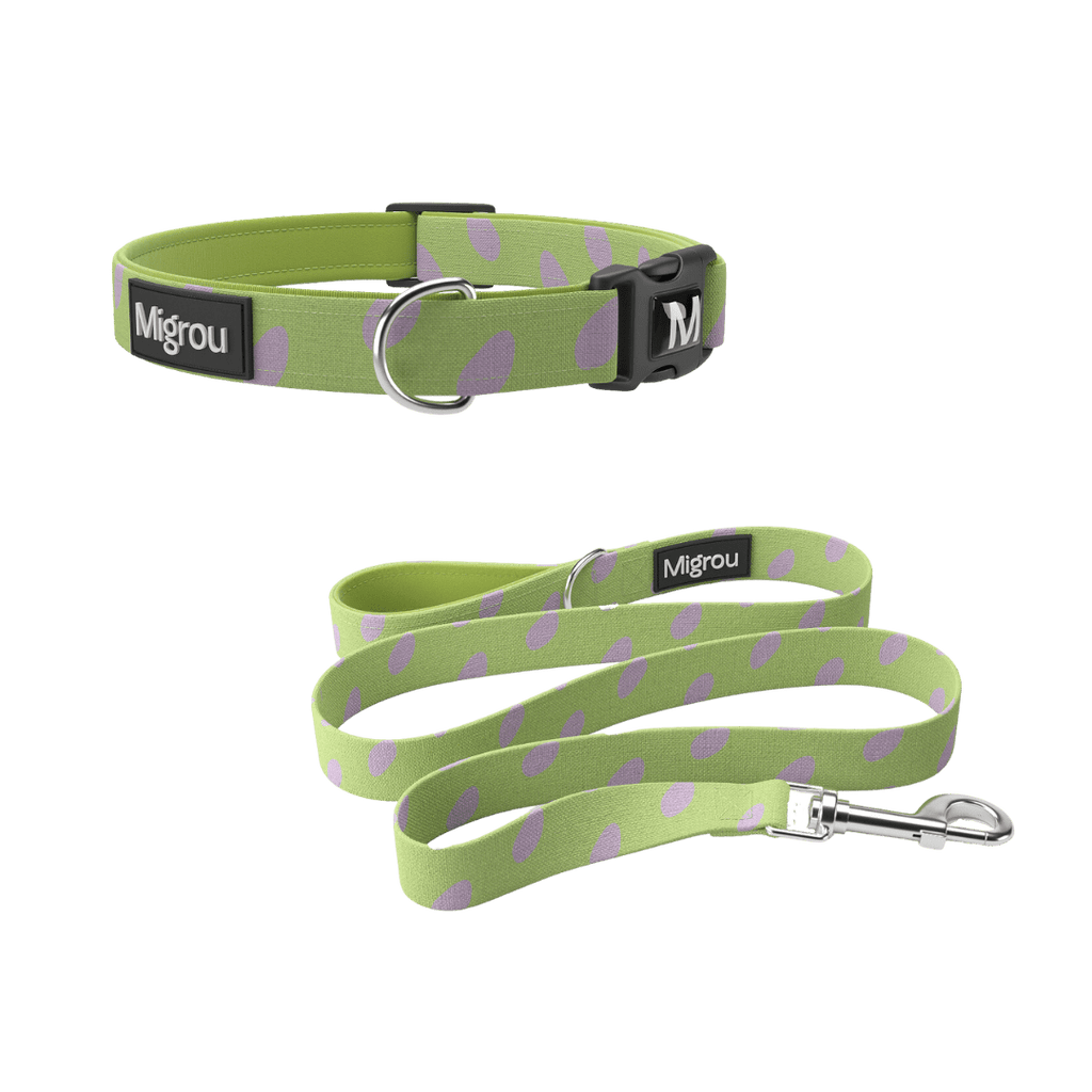 Dinosaur Eggs Duo Max Comfort Leash & Collar - Migrou