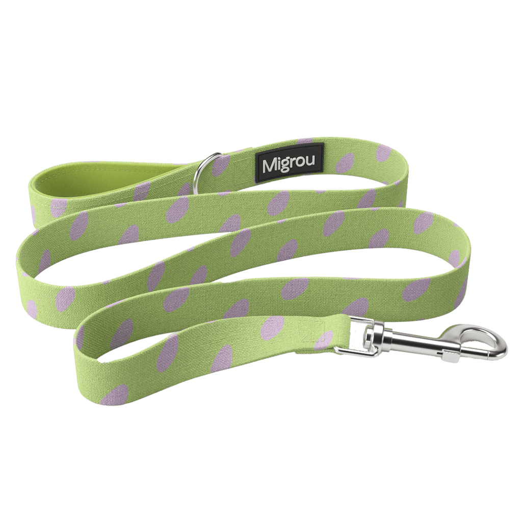 Dinosaur Eggs Duo Max Comfort Leash & Collar - Migrou