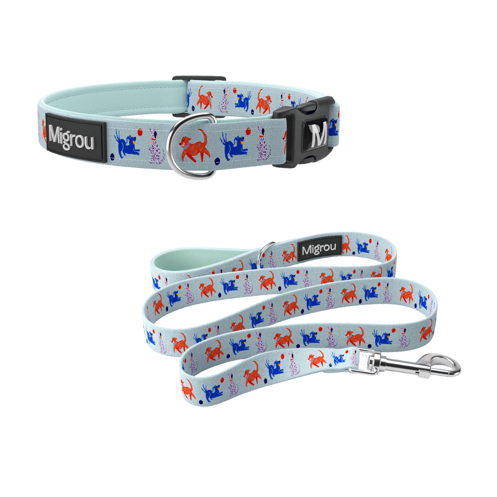 Dog Party Max Comfort Duo Leash & Collar - Migrou