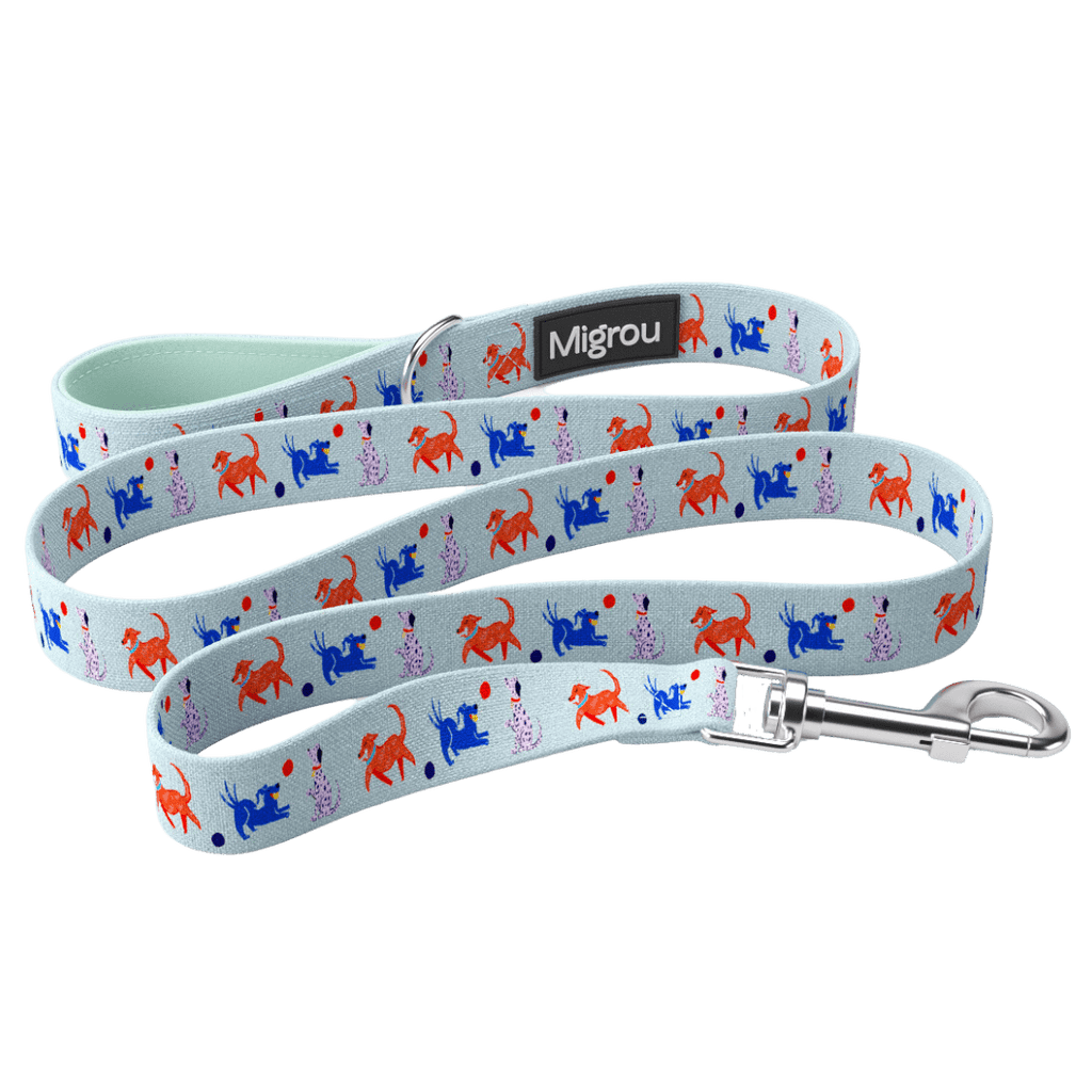 Dog Party Max Comfort Duo Leash & Collar - Migrou