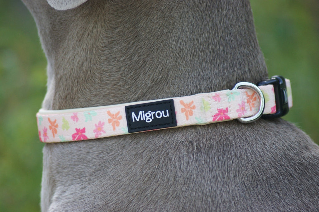 Flower Power Max Comfort Collar - Migrou