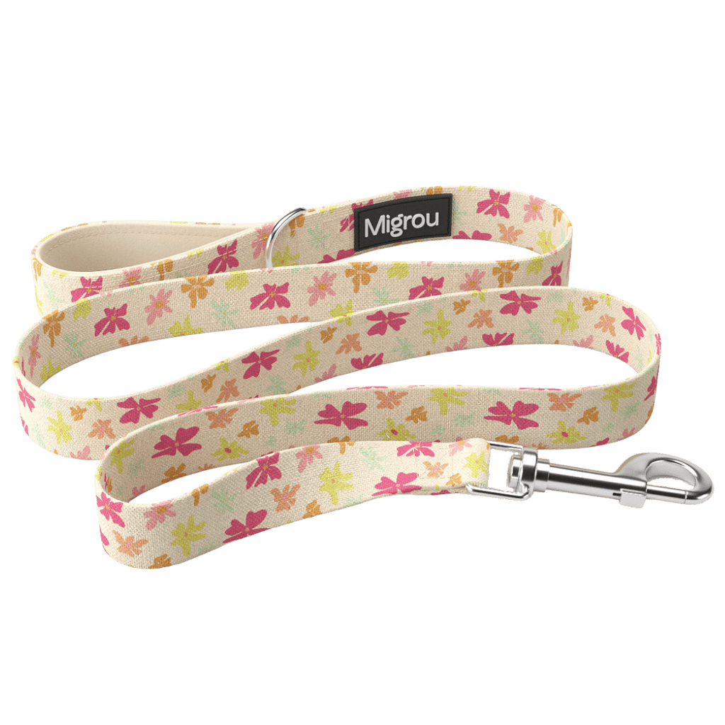 Flower Power Max Comfort Duo Leash & Collar - Migrou