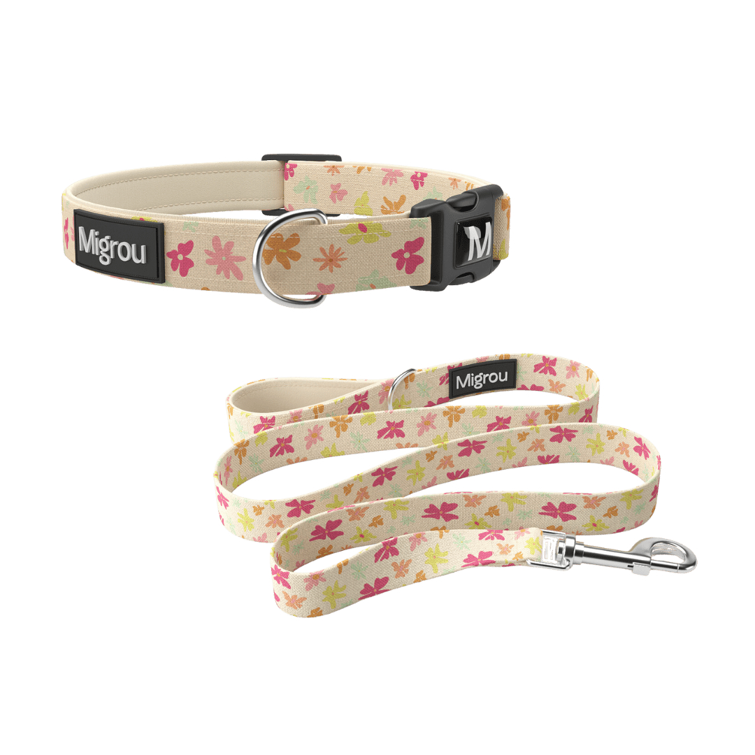 Flower Power Max Comfort Duo Leash & Collar - Migrou