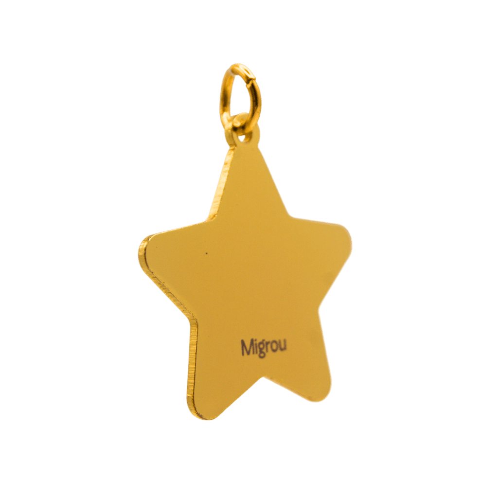 Personalized Star Dog Tag - Migrou