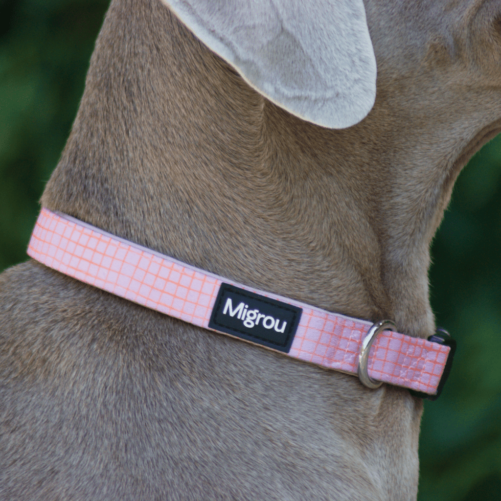 Pink Grid Max Comfort Collar - Migrou